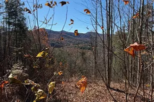Lot 14 View Ridge Trail, Murphy, NC 28906 - Photo 1