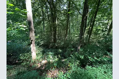 Lt 64/65 Rocky Knob Estates, Young Harris, GA 30582 - Photo 9