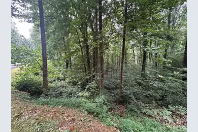 Lt 64/65 Rocky Knob Estates, Young Harris, GA 30582 - Photo 5