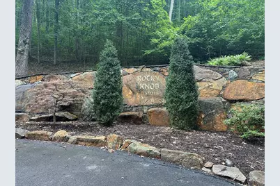Lt 64/65 Rocky Knob Estates, Young Harris, GA 30582 - Photo 3