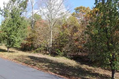 Lot 17 Old Taylors Ferry Ridge, Murphy, NC 28906 - Photo 5