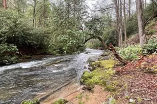 331 Vineyard Creek Way, Murphy, NC 28906 - Photo 43