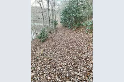 Lot 5 The Landings, Robbinsville, NC 28771 - Photo 5