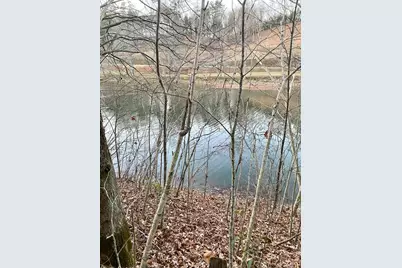 Lot 5 The Landings, Robbinsville, NC 28771 - Photo 3