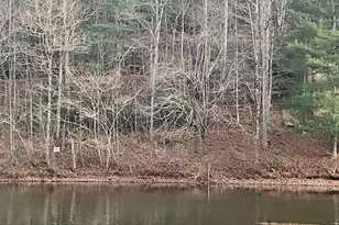 Lot 5 The Landings, Robbinsville, NC 28771 - Photo 1