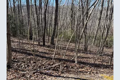 Lot 34J Ash Branch Road, Hayesville, NC 28904 - Photo 5