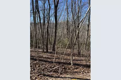 Lot 34J Ash Branch Road, Hayesville, NC 28904 - Photo 3