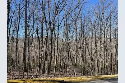 Lot 34J Ash Branch Road, Hayesville, NC 28904 - Photo 1