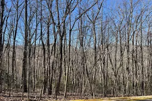 Lot 34J Ash Branch Rd, Hayesville, NC 28904 - Photo 1