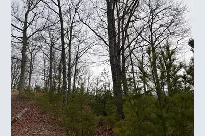 Lot 137 Shiloh Ridge, Hayesville, NC 28904 - Photo 15