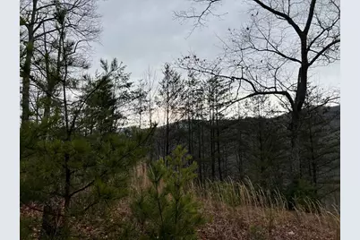 Lot 137 Shiloh Ridge, Hayesville, NC 28904 - Photo 11