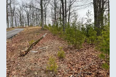 Lot 137 Shiloh Ridge, Hayesville, NC 28904 - Photo 17