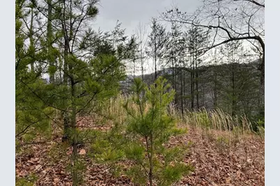 Lot 137 Shiloh Ridge, Hayesville, NC 28904 - Photo 13