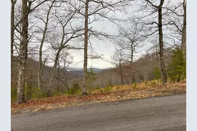 Lot 137 Shiloh Ridge, Hayesville, NC 28904 - Photo 5