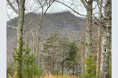 Lot 137 Shiloh Ridge, Hayesville, NC 28904 - Photo 3
