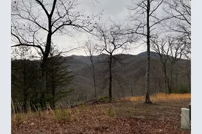 Lot 137 Shiloh Ridge, Hayesville, NC 28904 - Photo 9