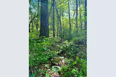 00 Deer Run, Robbinsville, NC 28771 - Photo 3