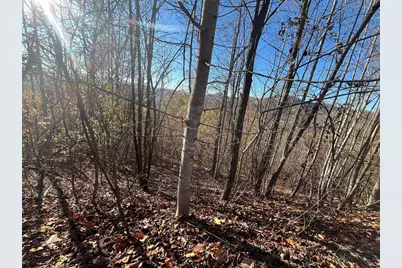 41 42 43 Ridges, Hayesville, NC 28904 - Photo 11