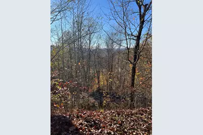 41 42 43 Ridges, Hayesville, NC 28904 - Photo 3