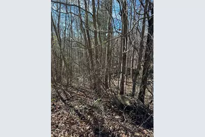 5 Lots Ali Drive, Hayesville, NC 28904 - Photo 3