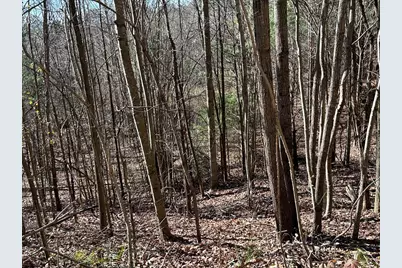 5 Lots Ali Drive, Hayesville, NC 28904 - Photo 5