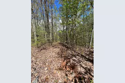 33 35 36 J Ash Branch, Hayesville, NC 28904 - Photo 5