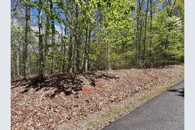 33 35 36 J Ash Branch, Hayesville, NC 28904 - Photo 7