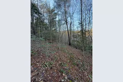 Tbd Grape Creek Road, Murphy, NC 28906 - Photo 7