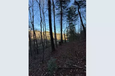 Tbd Grape Creek Road, Murphy, NC 28906 - Photo 3