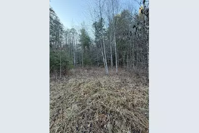 Tbd Grape Creek Road, Murphy, NC 28906 - Photo 17