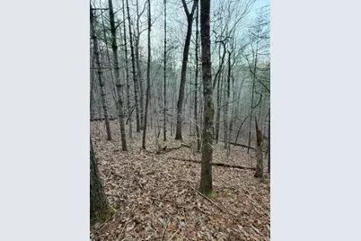 Tbd Grape Creek Road, Murphy, NC 28906 - Photo 11