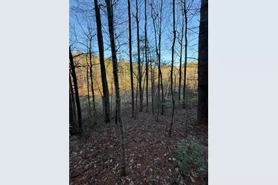 Tbd Grape Creek Road, Murphy, NC 28906 - Photo 5