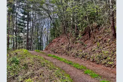 Tr 47 Majestic Mountain Trail, Murphy, NC 28906 - Photo 5
