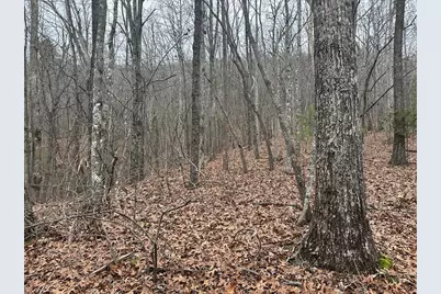 00 Marrestop, Murphy, NC 28906 - Photo 7