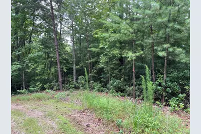Tbd Atoah Loop, Murphy, NC 28906 - Photo 5