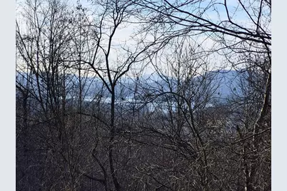 Lot 62 Dan Knob, Hayesville, NC 28904 - Photo 3