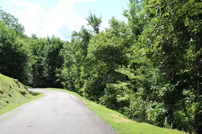 Lot 62 Dan Knob, Hayesville, NC 28904 - Photo 7
