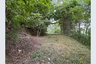 Lot 30 Hickory Cove Road, Bryson City, NC 28713 - Photo 3