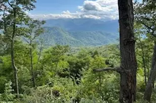 Lot 30 Hickory Cove Rd, Bryson City, NC 28713 - Photo 1
