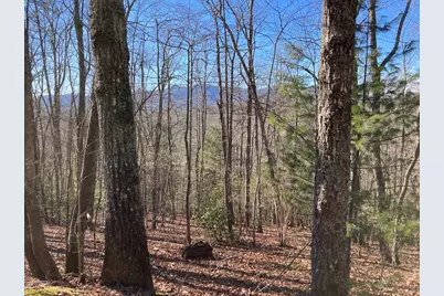 Lot 31 High Ridge Road, Murphy, NC 28906 - Photo 3