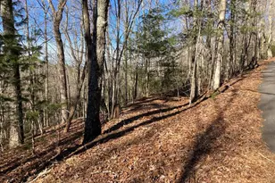 Lot 31 High Ridge Rd, Murphy, NC 28906 - Photo 1