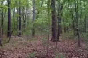 00 Lady Ln, Murphy, NC 28906 - Photo 1