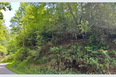 Lot 77 Fires Creek Cove, Hayesville, NC 28904 - Photo 19