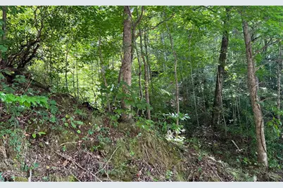 Lot 77 Fires Creek Cove, Hayesville, NC 28904 - Photo 3