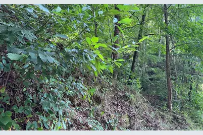 Lot 77 Fires Creek Cove, Hayesville, NC 28904 - Photo 1
