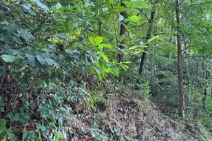 Lot 77 Fires Creek Cove, Hayesville, NC 28904 - Photo 1