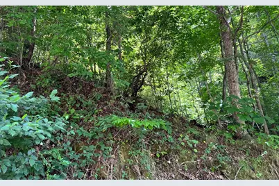 Lot 77 Fires Creek Cove, Hayesville, NC 28904 - Photo 15