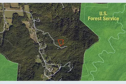 Sr 1229 Dry Creek, Robbinsville, NC 28771 - Photo 3