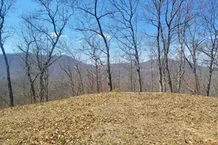 Sr 1229 Dry Creek, Robbinsville, NC 28771 - Photo 1