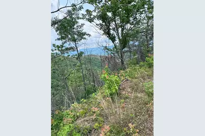 88 Acres Bolden Branch, Andrews, NC 28901 - Photo 1